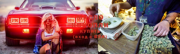 хмурый Волоколамск