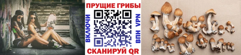 Галлюциногенные грибы прущие грибы  Калязин 